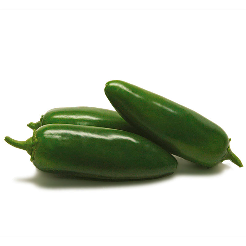 Jedi Jalapeno Pepper Hybrid