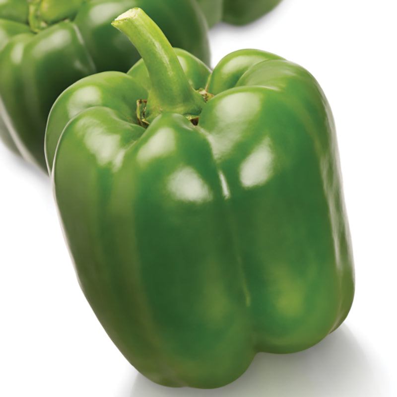 SV3964PB Sweet Pepper