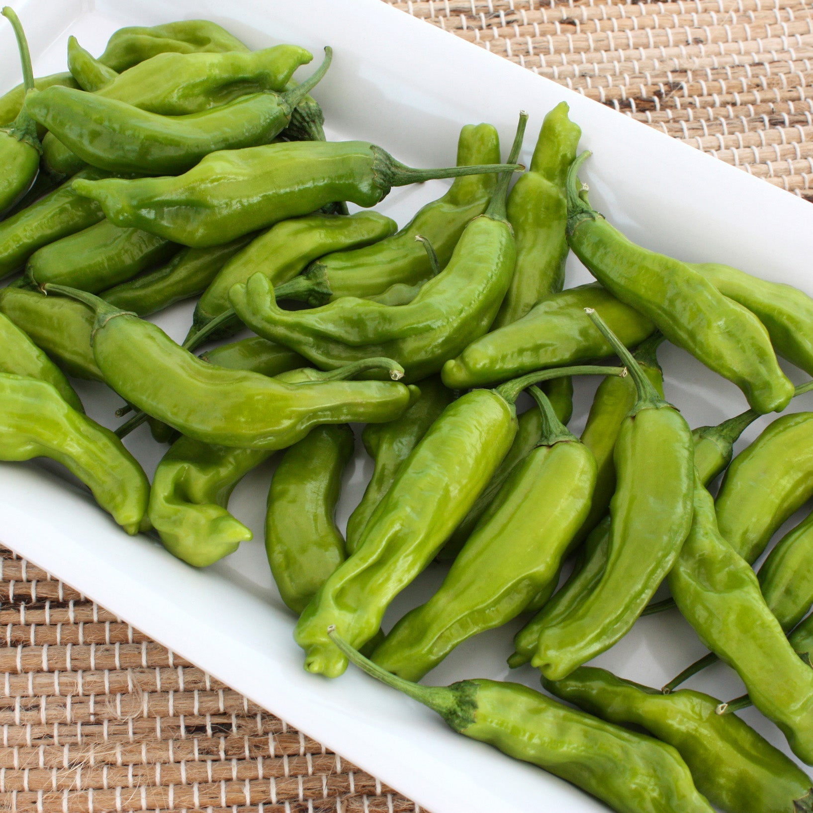 Takara Shishito Pepper Hybrid