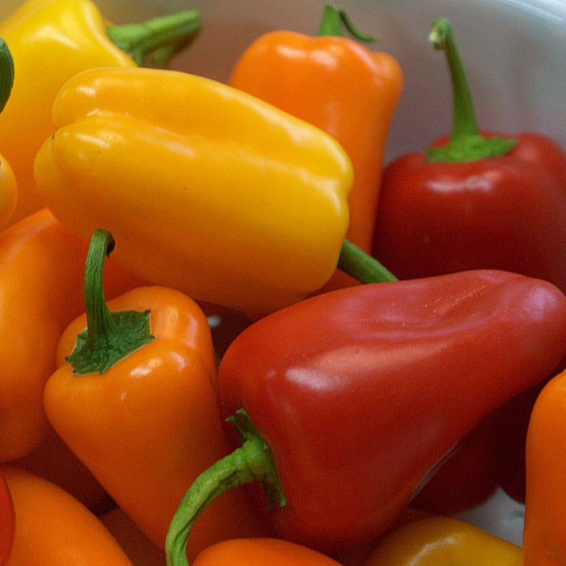 Sweetie Snack Pepper Mix