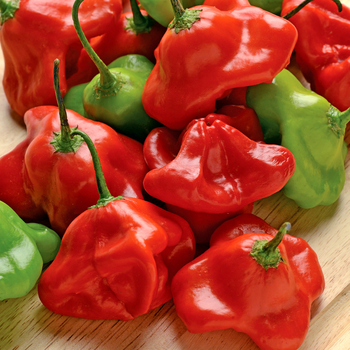 Mad Hatter Untreated Pepper Hybrid