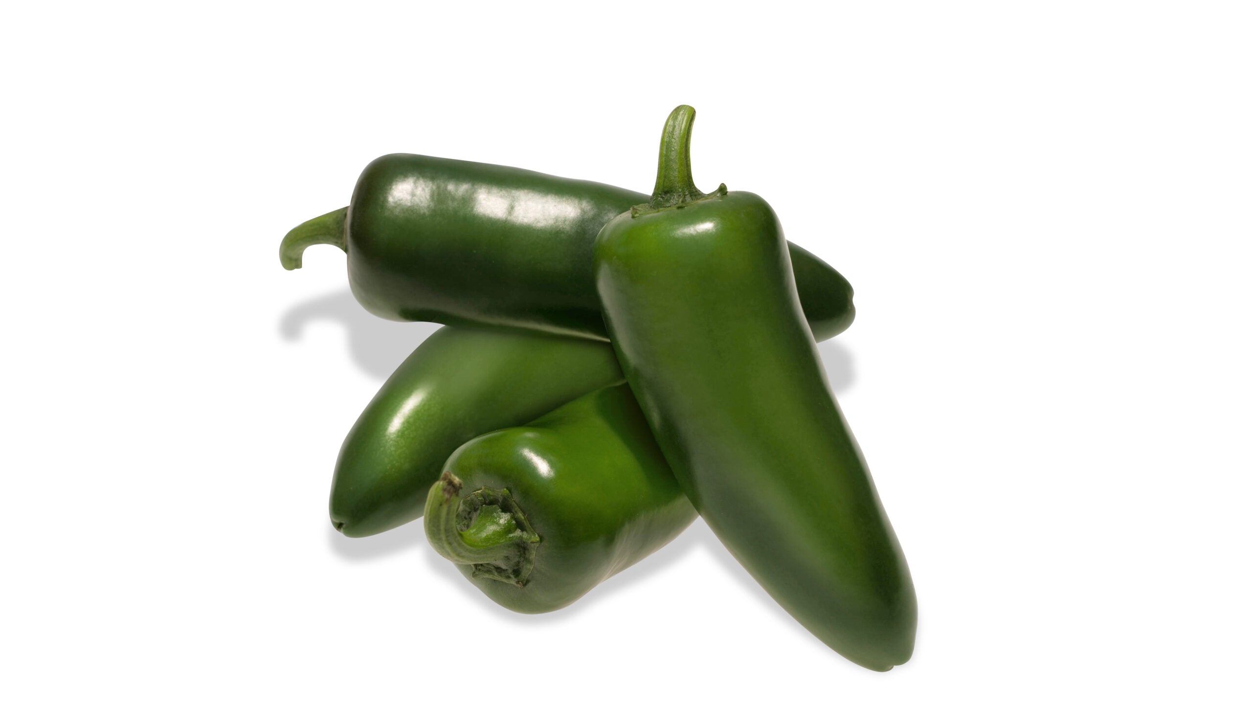 Pantera Jalapeno Pepper Hybrid