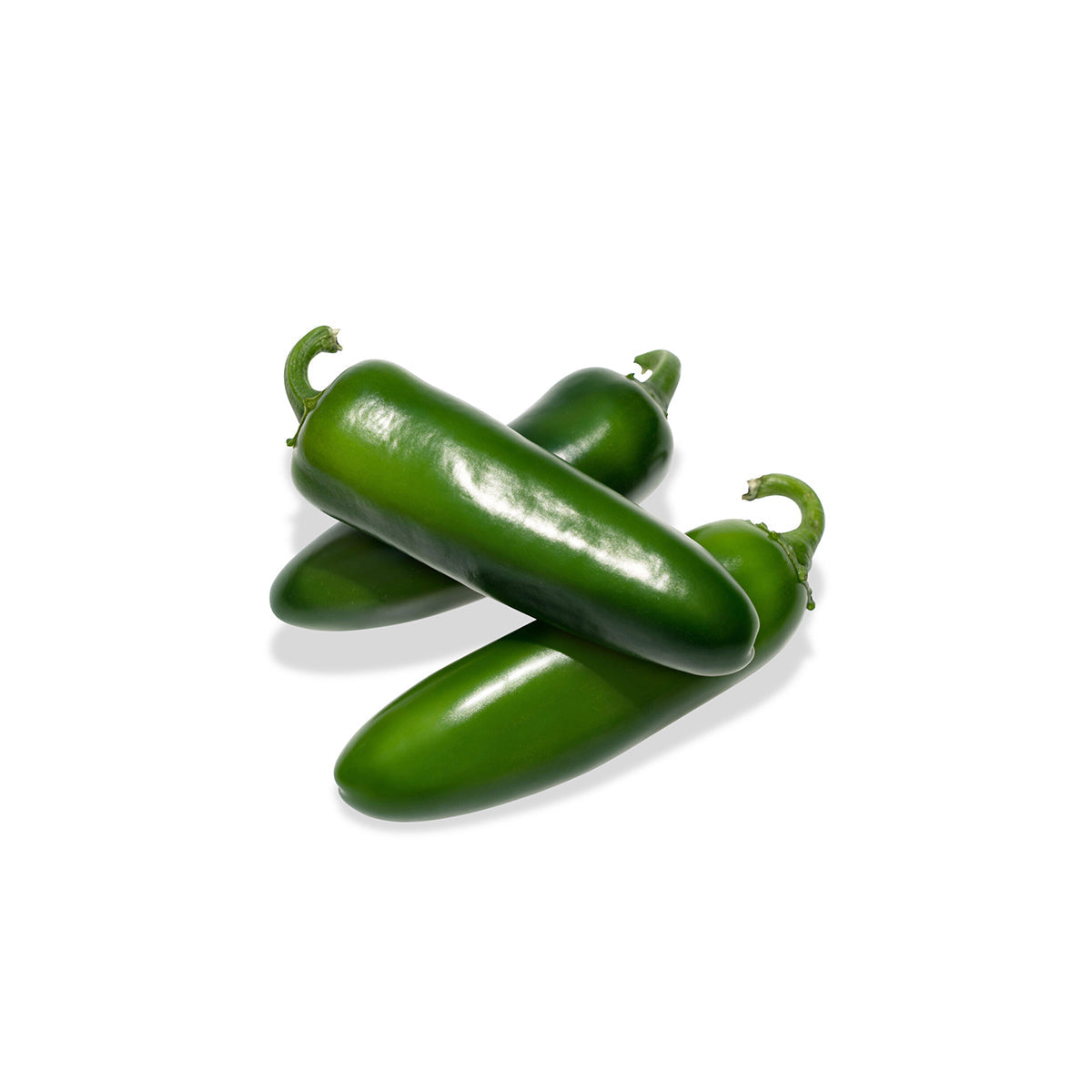 Trickster Mild Heat Jalapeno Pepper Hybrid