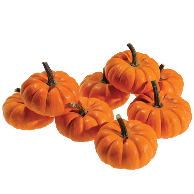 Mini Ornamental Pumpkins – Stokes Seeds, Limited