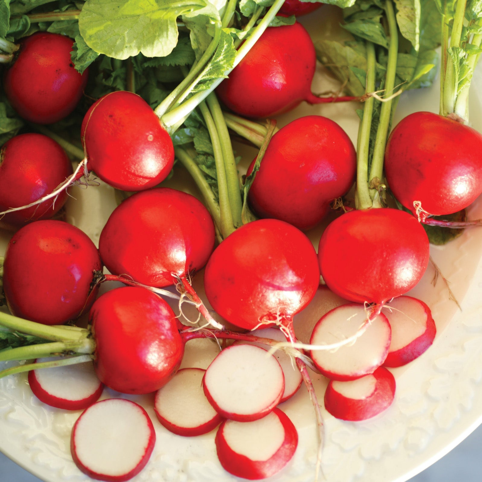 Red Satin Radish Hybrid