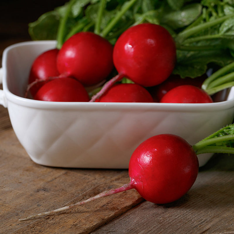 Regal Red Radish Hybrid
