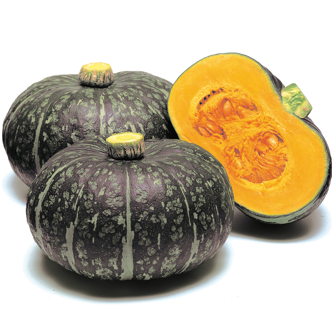 Delica Squash Hybrid