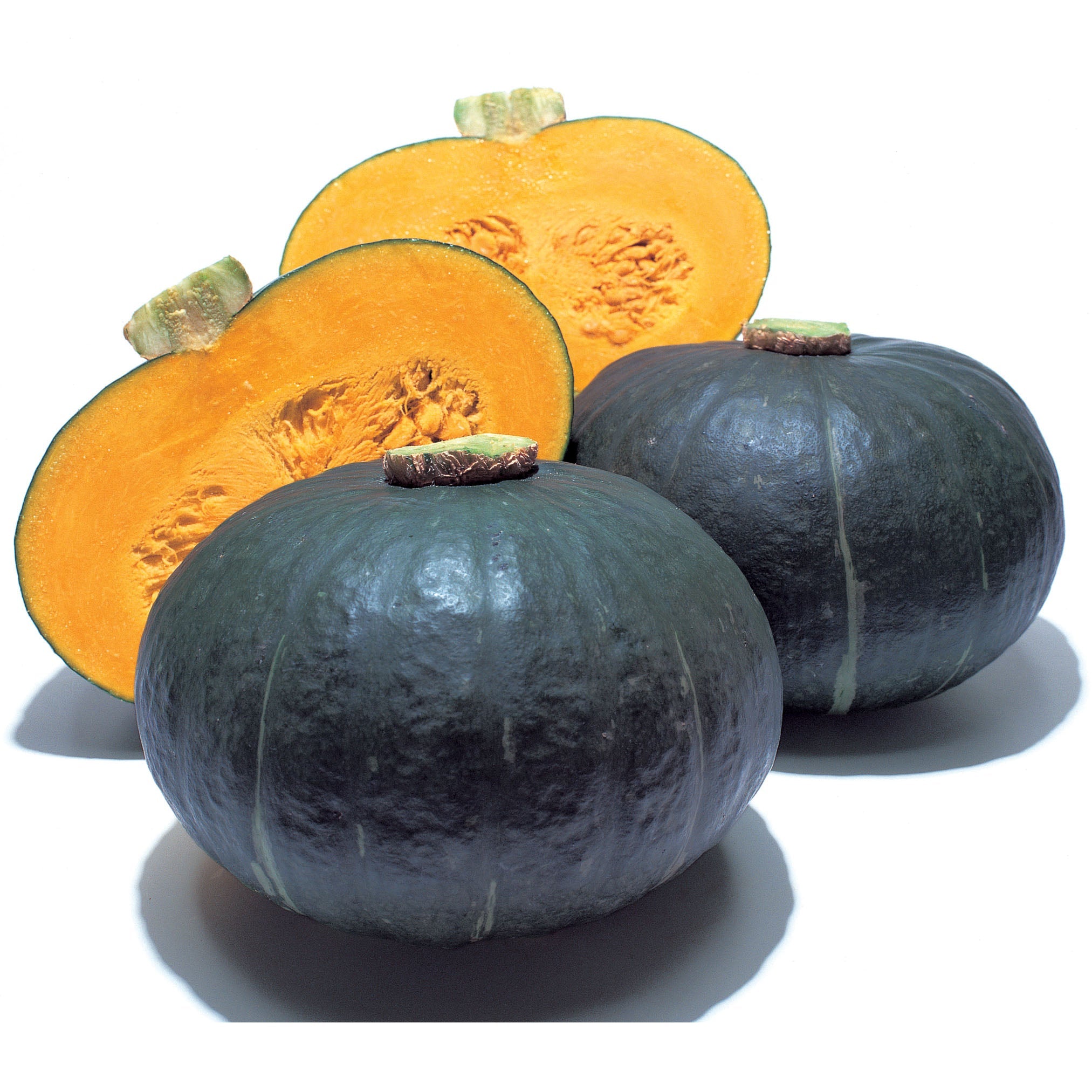 Sweet Mama Squash Hybrid
