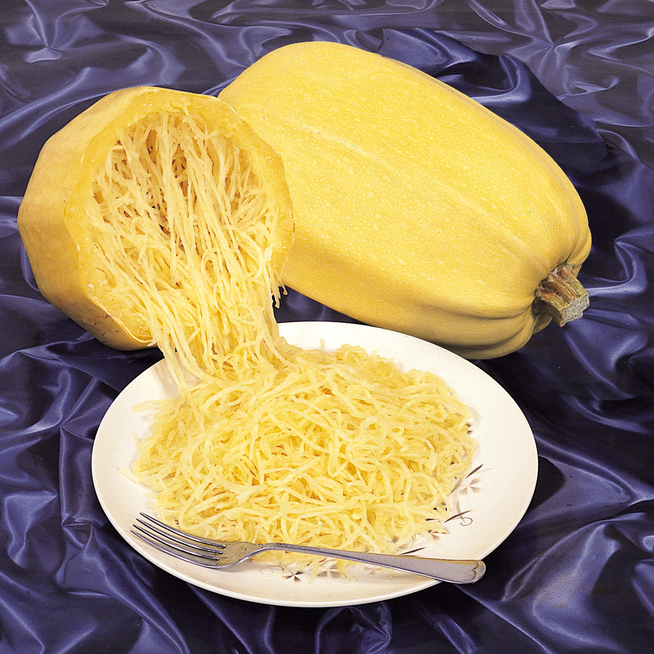 Vegetable Spaghetti Untreated Squash