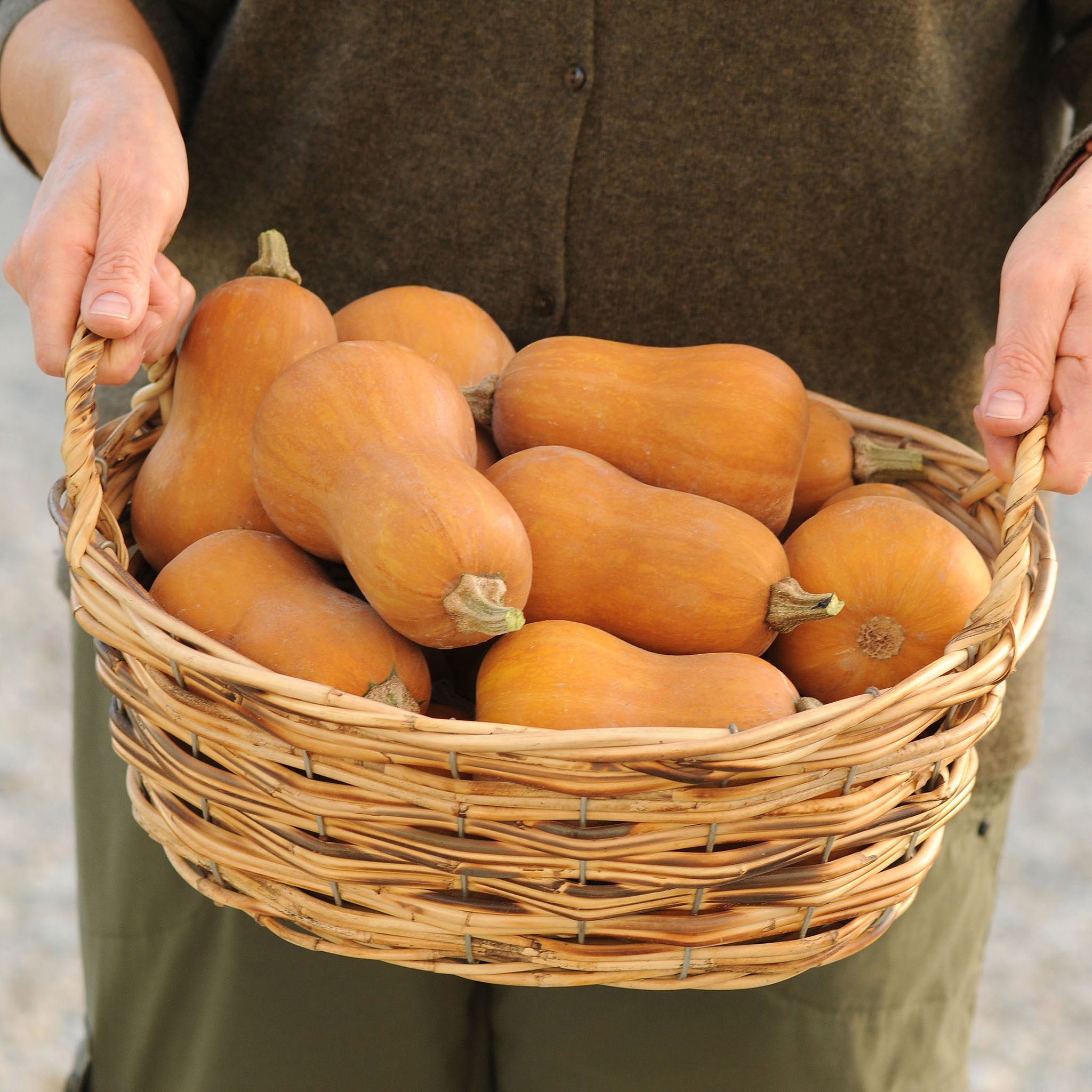 Honeynut Untreated Squash