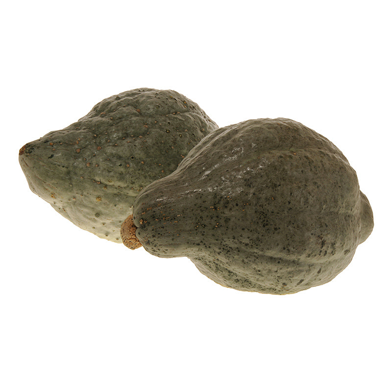 Heavenly Hubbard Squash Hybrid