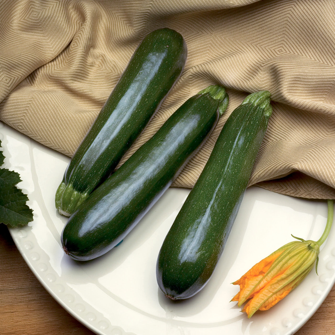 Spineless Perfection Squash Hybrid