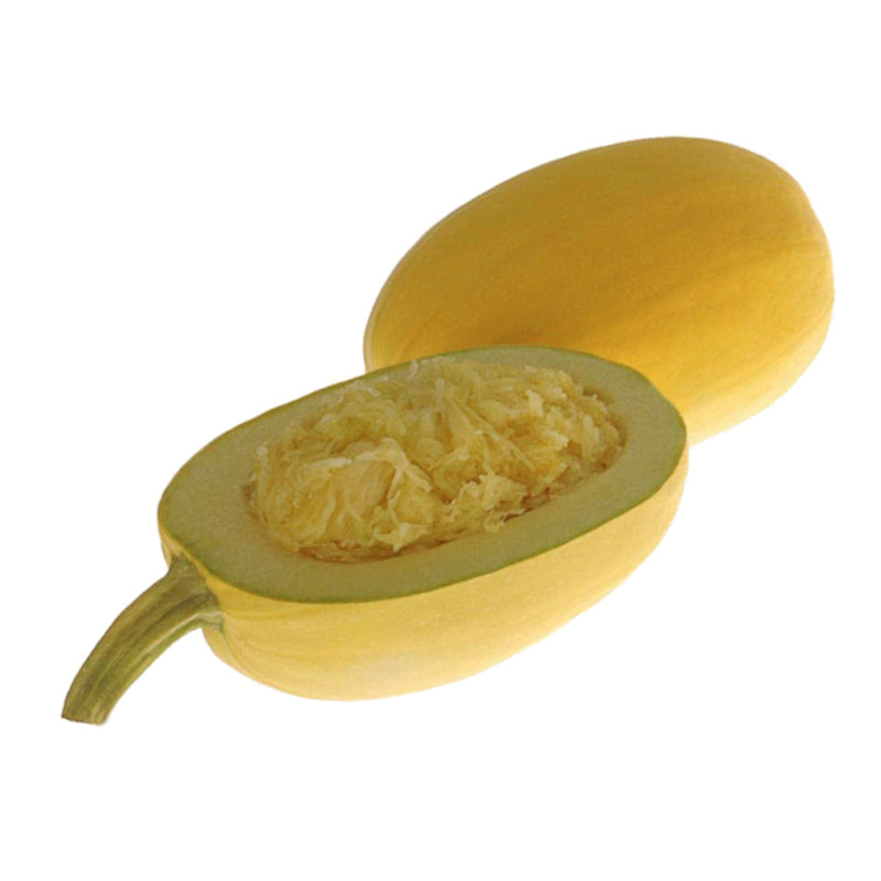 Pinnacle Winter Squash Hybrid