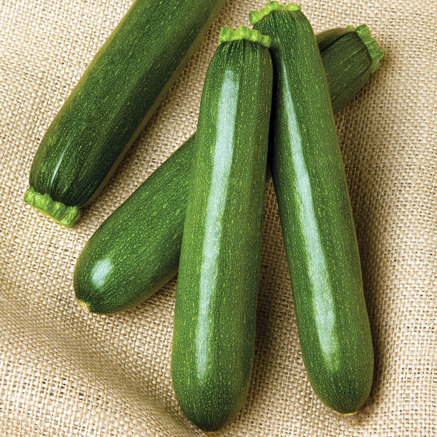 Payload Squash Hybrid