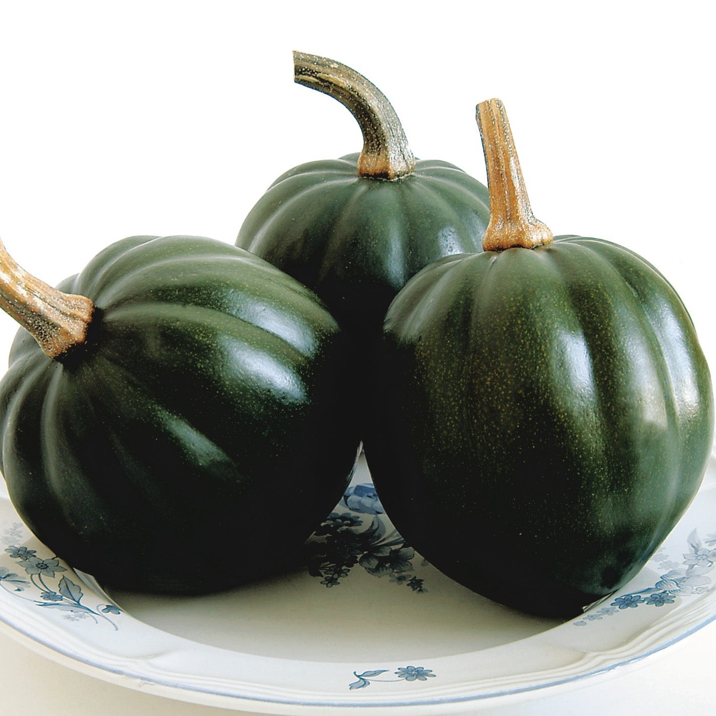 Honey Bear Squash Hybrid