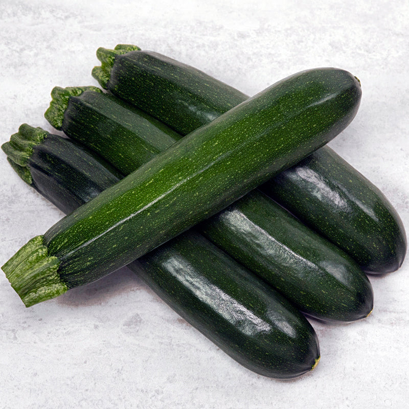 Payout Squash Hybrid