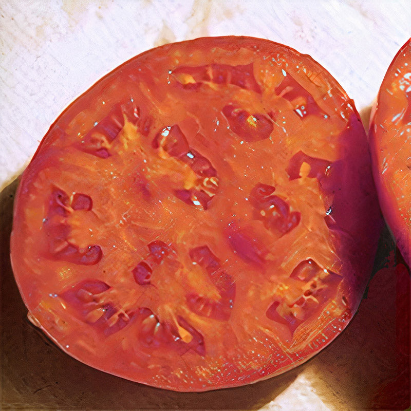 Glamour Pelleted Tomato