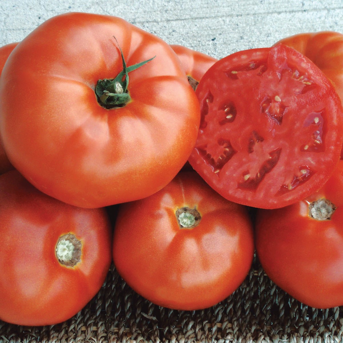Red Deuce VFF/TMV Pelleted Tomato Hybrid