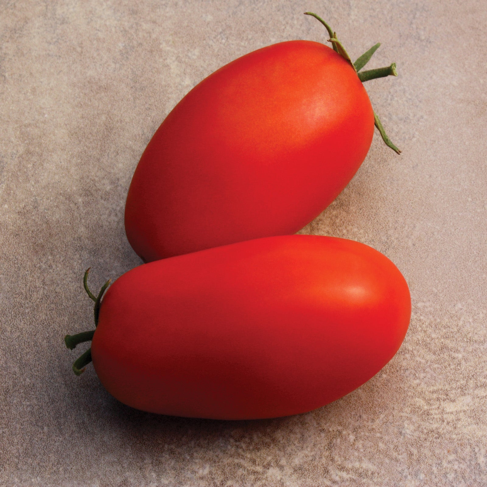 Supremo Tomato Hybrid