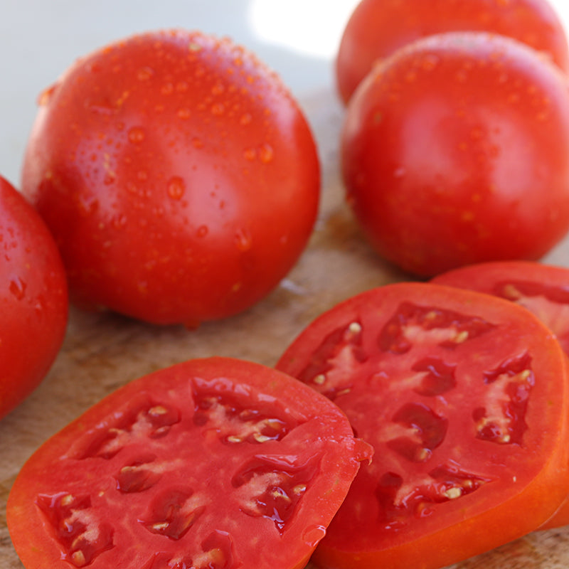 Celebrity Plus Tomato Hybrid