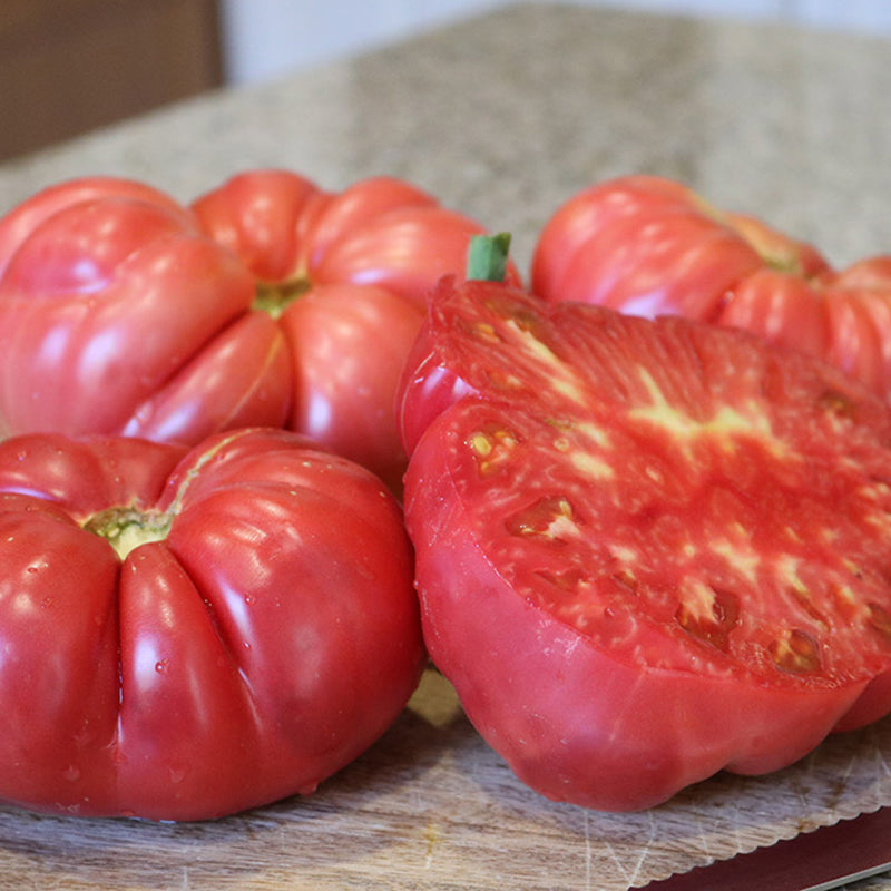 Pink Delicious Tomato Hybrid
