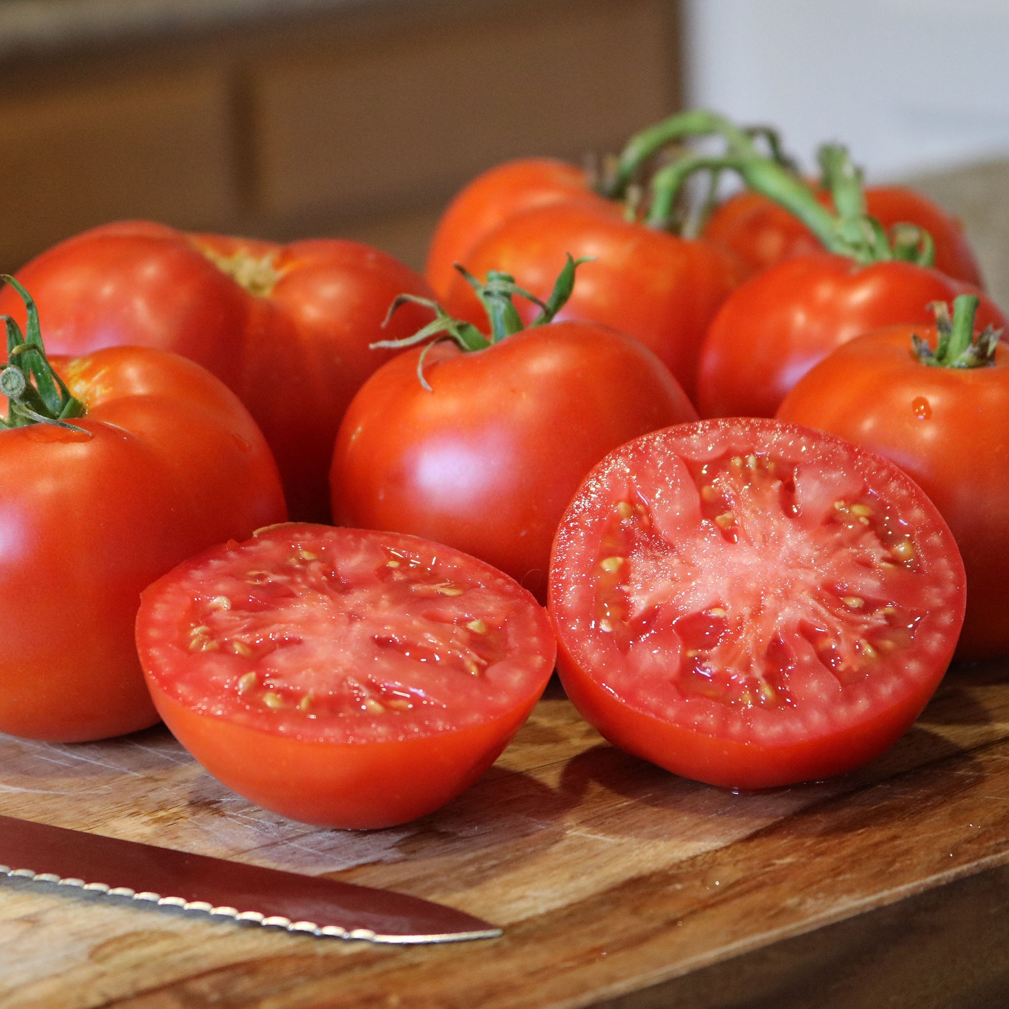 Better Boy Plus VFN Tomato Hybrid