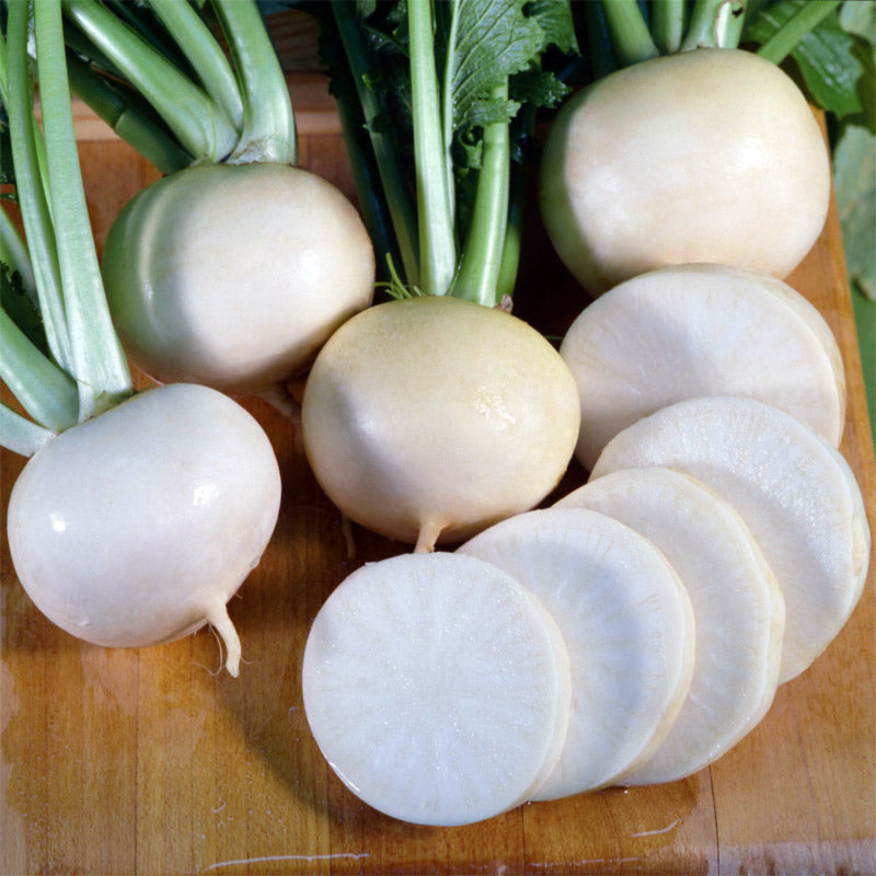 White Lady Turnip Hybrid