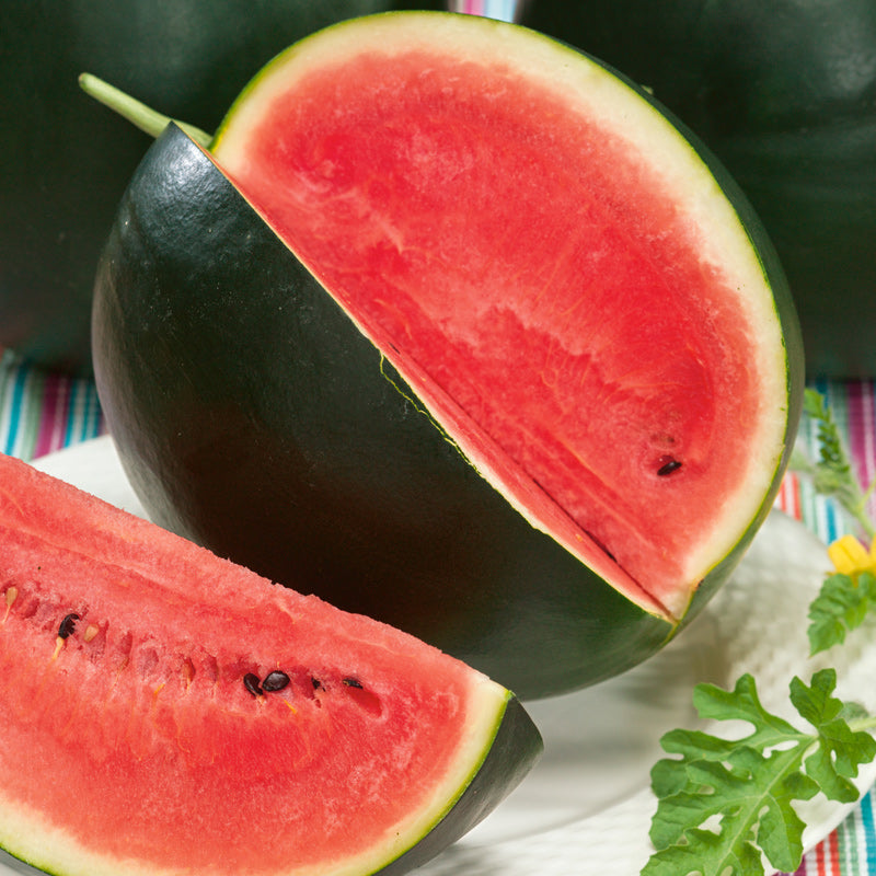 Sugar Baby Watermelon