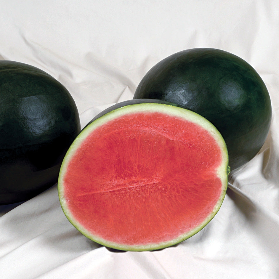 Sweet Gem Triploid Watermelon Hybrid