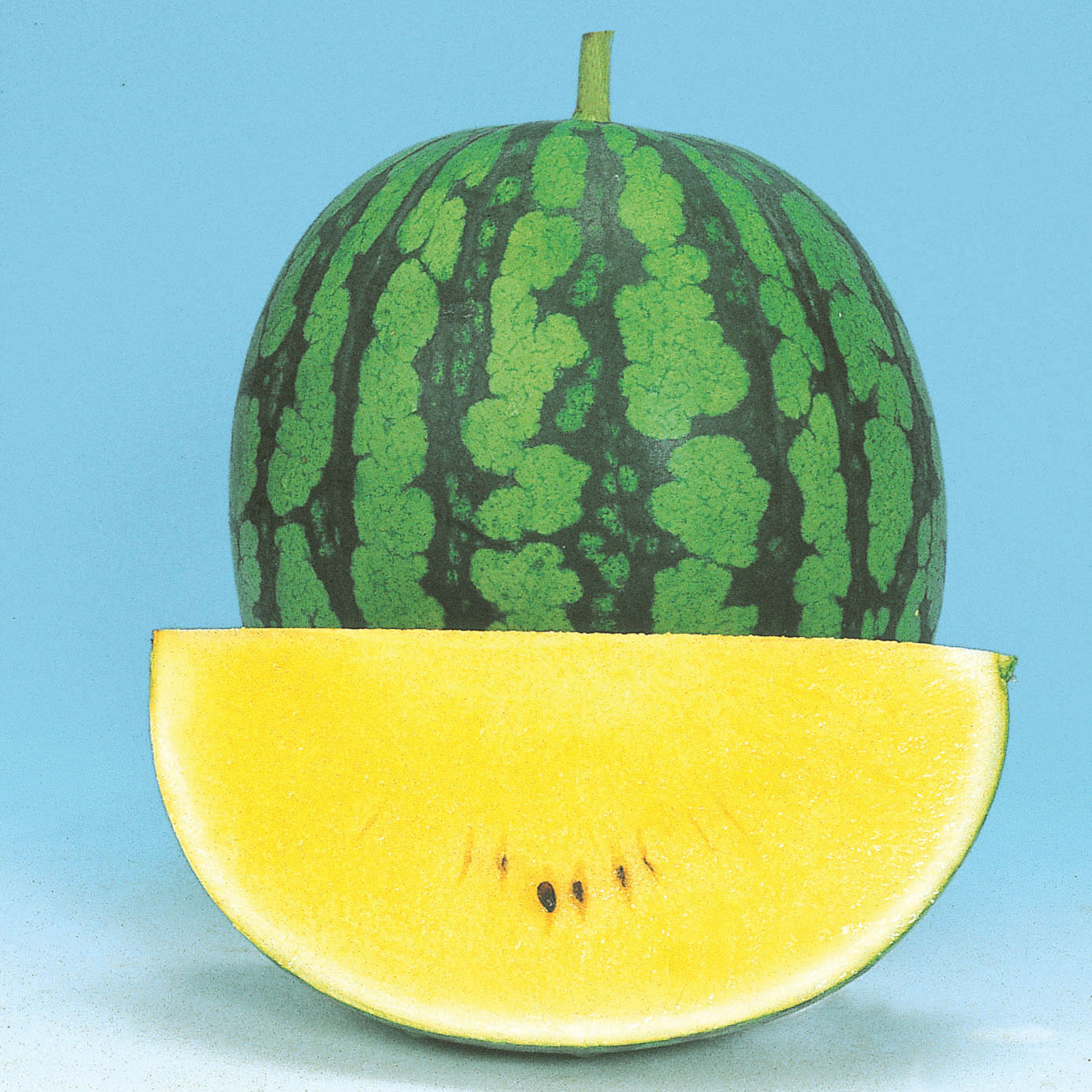 New Yellow Baby Watermelon Hybrid